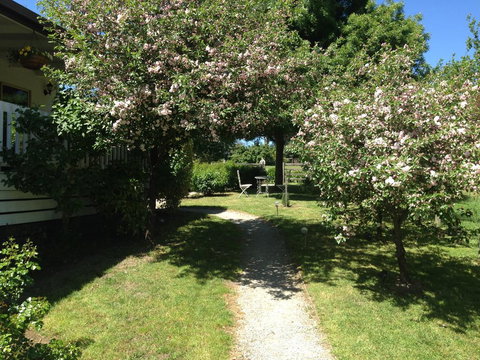 Yarra Glen Bed & Breakfast - Swimm 1