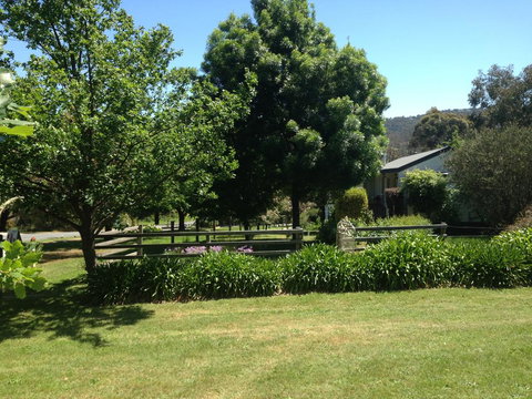 Yarra Glen Bed & Breakfast - Swimm 3