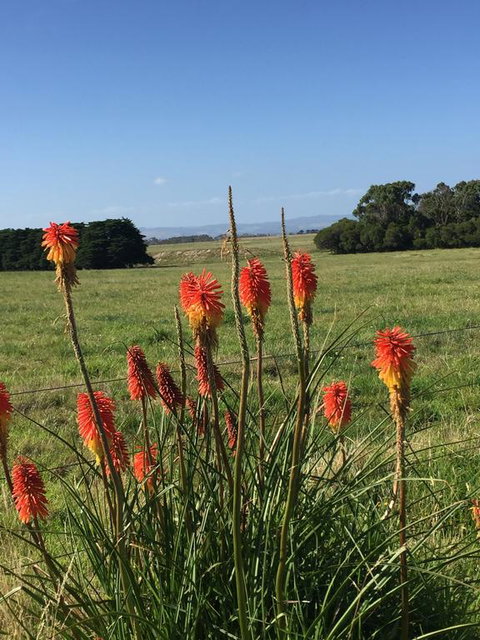 Yanakie Holiday House - Swimm 2