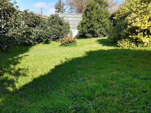 Young Goldrush Motel - Internet Find 2