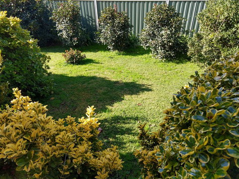 Young Goldrush Motel - Renee 3