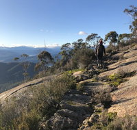 Yours and Theirs Pet Friendly Accommodation - Renee