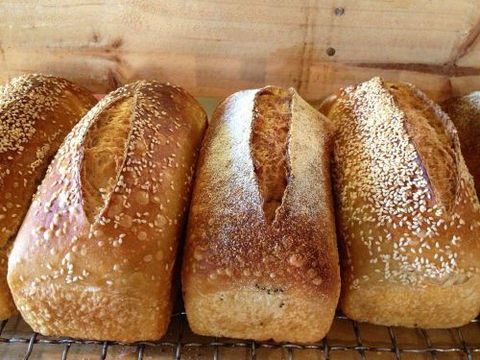 Blackbird Artisan Bakery - Renee 0