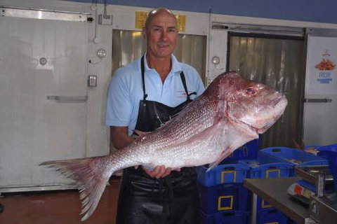 Northern Rivers Seafood - Qld Realsetate 3