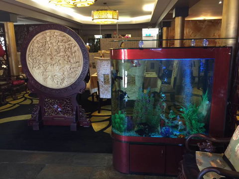 Dragon Palace - Swimm 4