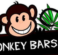 Monkey Bars Canning Vale Play  Learn - Internet Find