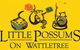 Little Possums On Wattletree - thumb 0