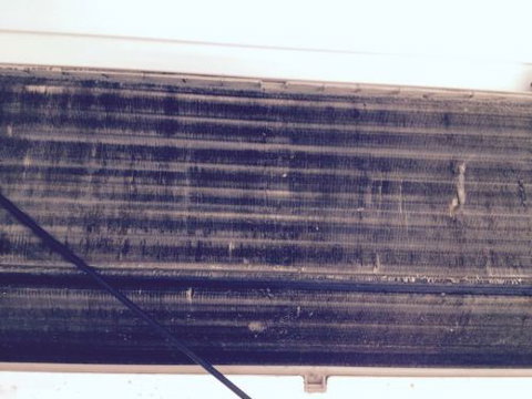 Coral Coast Services Pty Ltd - Internet Find 0