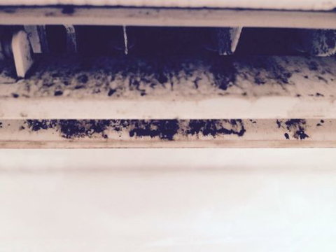 Coral Coast Services Pty Ltd - Internet Find 2