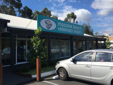 Moonee Beach Veterinary Surgery - Internet Find 0