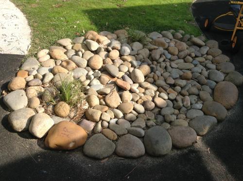 Nurseries Garden Centres Terrigal NSW Swimm