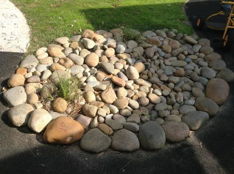 Shine Early Learning Centre - Renee 0