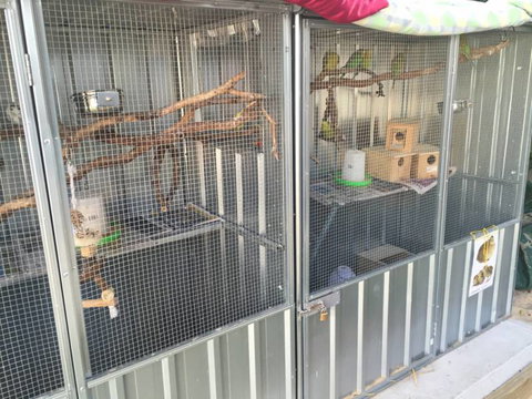 TLC Early Learning Centre - Swimm 0