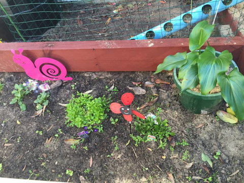 TLC Early Learning Centre - Swimm 3