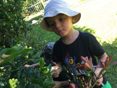 Kiama Kids Pre-School & Childcare Centre - Internet Find 0