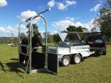 Tamworth Veterinary Hospital - Renee 1