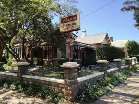 Tamworth Veterinary Hospital - Renee 2