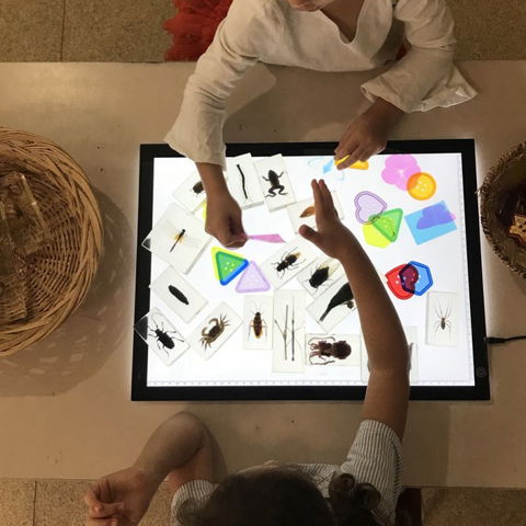 Kindisaurus Child Care Centre - Renee 0