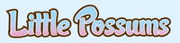 Little Possums Pre School  Early Learning Centre