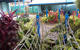 Mackay Child Care Centre - thumb 0