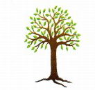 Kadina Child Care Centre - Internet Find