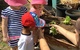 Maitland Family Day Care Trading As Five Star Family Day Care - thumb 3