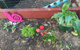 TLC Early Learning Centre - thumb 4