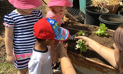 Maitland Family Day Care Trading As Five Star Family Day Care - Renee 8