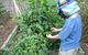 Parklands Community Preschool (Kariong) - thumb 0