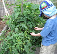 Parklands Community Preschool Kariong - Internet Find