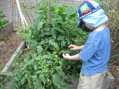 Parklands Community Preschool (Kariong) - Internet Find 0