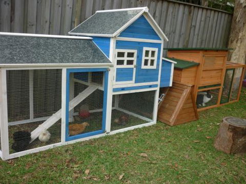 Active Littlies Child Care Centre - Renee 3