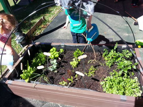 Dynamic Learners Early Childhood Centre - Renee 3