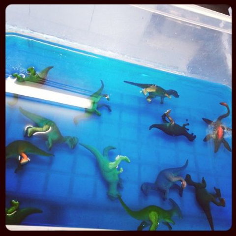 Dynamic Learners Early Childhood Centre - Renee 5