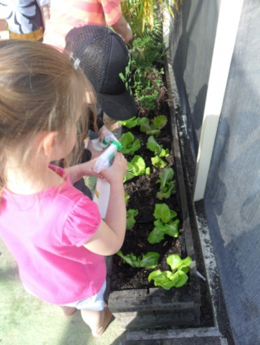 Hopscotch Boambee Childcare/Preschool - Renee 6