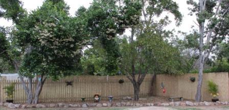 Jensen Early Learning Centre - Renee 1