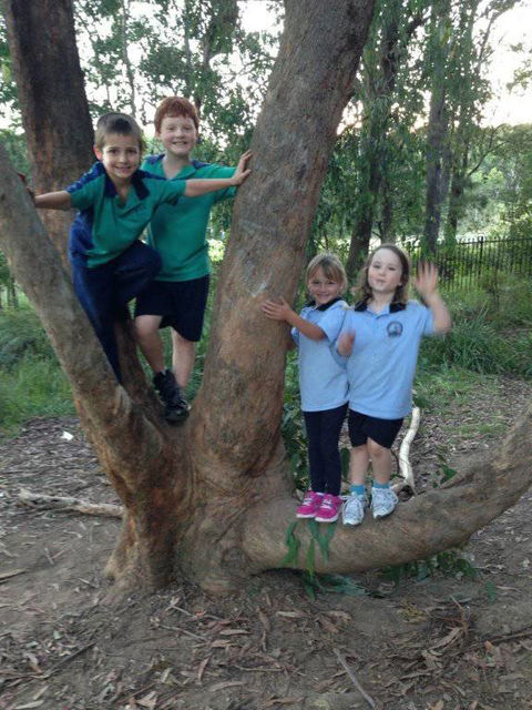 Merewether Heights OOSH & Vacation Care - Renee 15