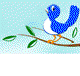 Bluebird Childcare Centre - Internet Find