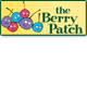 Berry Patch Preschool - Renee