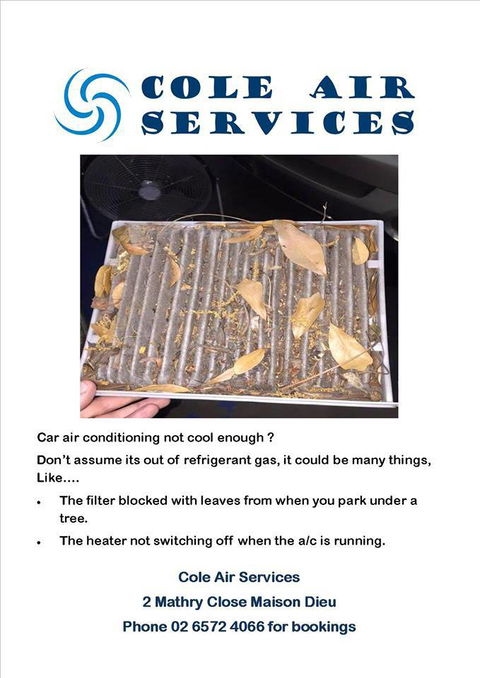 Cole Air Services - Renee 1