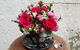 Chocolate & Moss Floristry - thumb 4