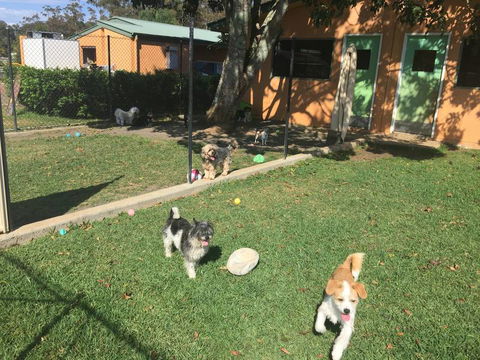 Tarraray Pet Retreat - Renee 3
