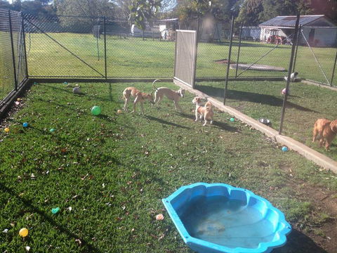 Tarraray Pet Retreat - Renee 5