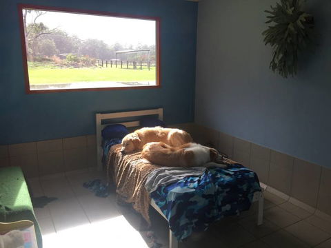 Tarraray Pet Retreat - Renee 6