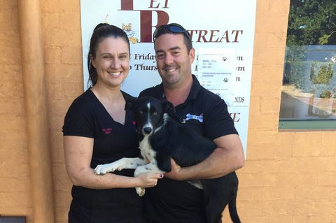 Tarraray Pet Retreat - Renee 7