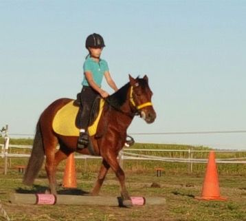 Horse Riding Walkerston QLD Swimm