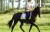 Spirit Lodge Equestrian Centre - thumb 1