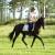 Spirit Lodge Equestrian Centre - Internet Find 1