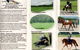 Spirit Lodge Equestrian Centre - thumb 2