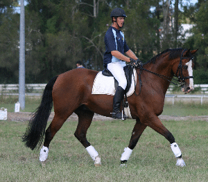 Spirit Lodge Equestrian Centre - thumb 3
